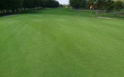 Prepare your turfgrass for autumn and winter period